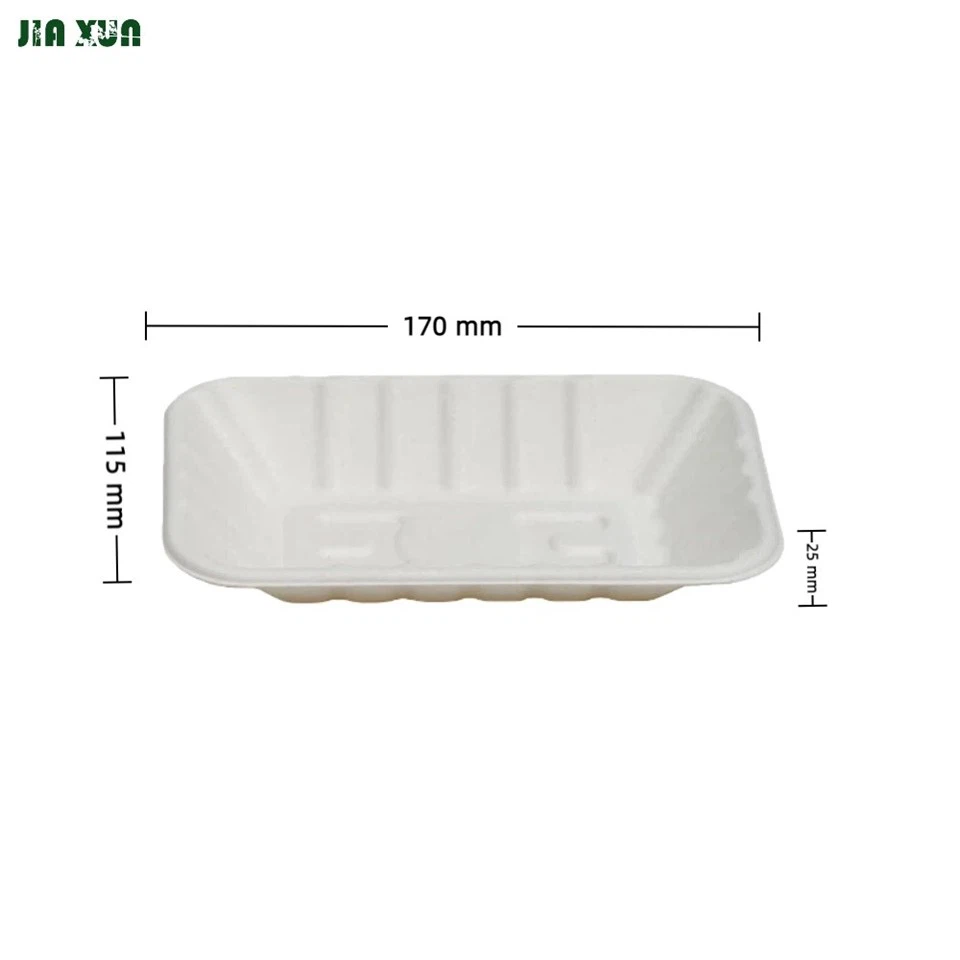 compostable bagasse trays (170x115x25mm)