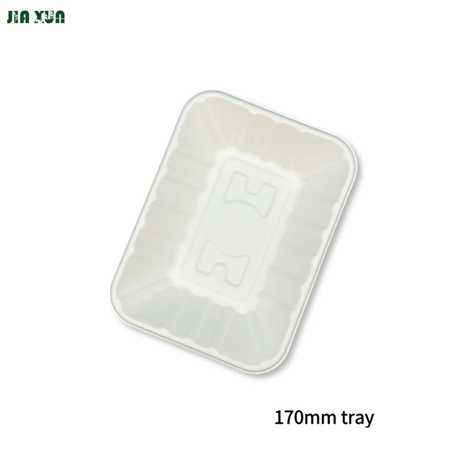 heavy-duty compostable bagasse trays